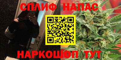 сатива Заволжье