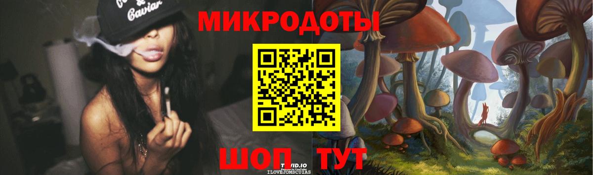 Дзержинск  Галлюциногенные грибы Psilocybine cubensis  Вход с VPN 